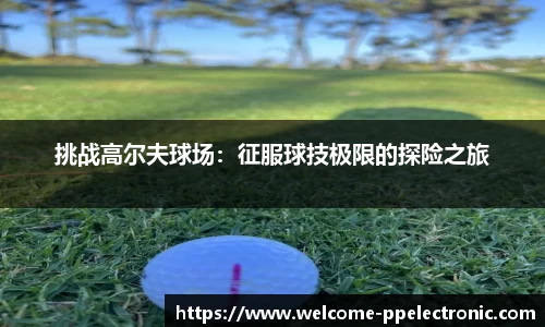 pp电子官网