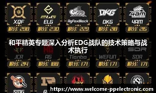 pp电子官网